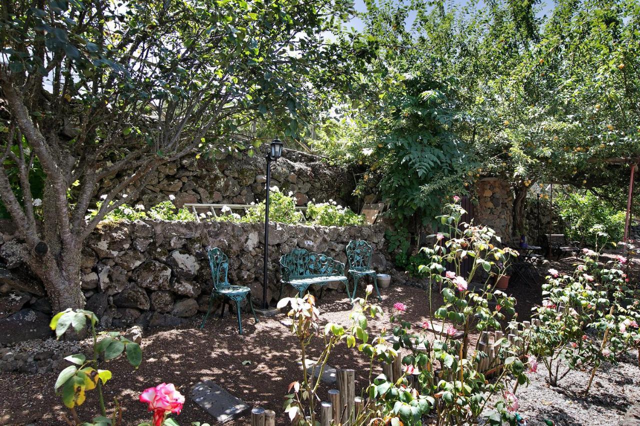 Finca Las Carmenes Икод-де-лос-Винос Экстерьер фото