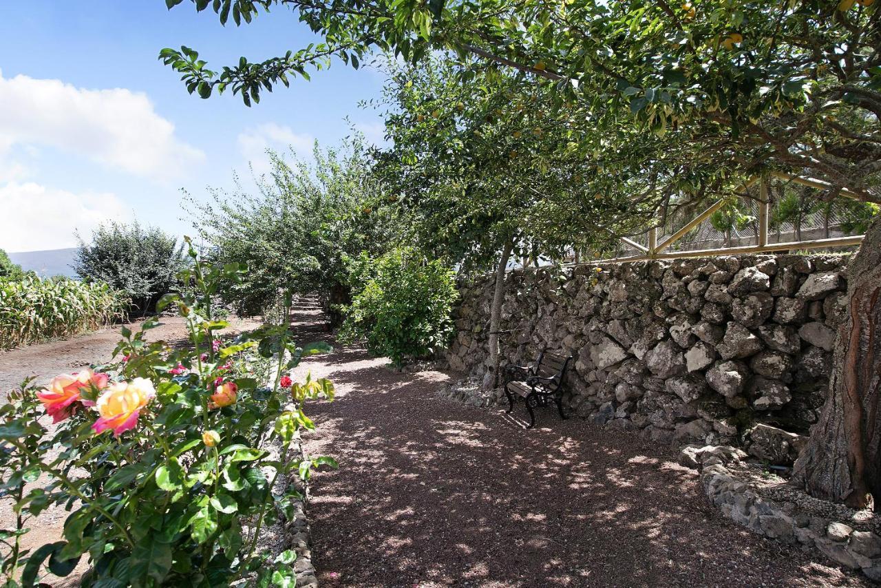 Finca Las Carmenes Икод-де-лос-Винос Экстерьер фото